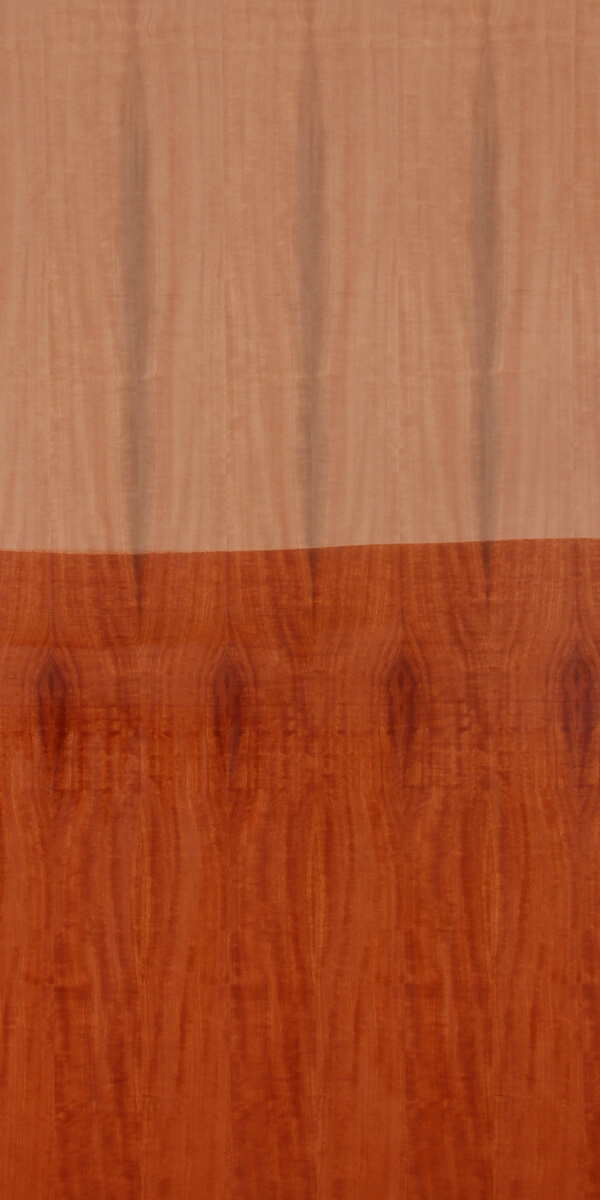 Redwoods